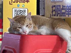 -翁林甜品