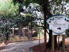 -费瑟代尔野生动物园