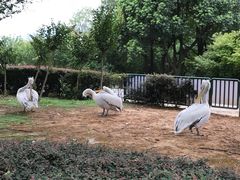 -无锡动物园·太湖欢乐园
