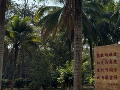-西双版纳傣族园