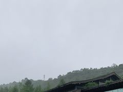 -都江堰中华大熊猫苑
