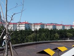 -莫内艺术岛海景咖啡