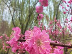 -元大都城垣遗址公园