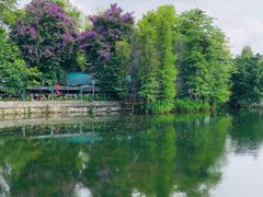 -荔湾湖公园