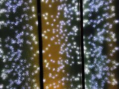 -上海柏悦酒店·世纪100牛排馆