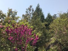 -佛爷洞旅游景区