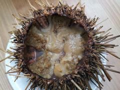 -海胆小馆(东北水饺·春柳店)