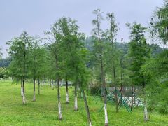 -东莞植物园