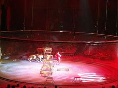 -珠海横琴长隆《卡卡虎奇遇记》