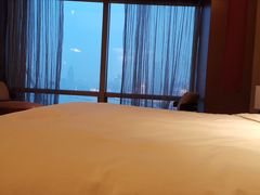 -上海外滩茂悦大酒店