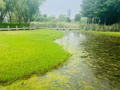 -长广溪湿地公园