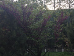 -西安理工大学(金花校区)