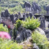 贺州玉石林里都是“玉”