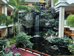 -白天鹅宾馆-宏图府餐厅