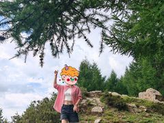 -苏木山森林公园