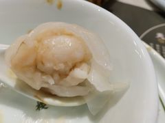 悦满楼虾饺皇-悦满楼·西关名点·湛江名菜(航空综合大厦店)