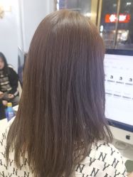 -YESIDO椰岛造型