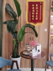 -丝客富脱发养发头皮馆