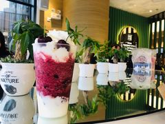 生日车厘子-奈雪的茶(凯德新都心店)