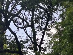 -莹珠阁·私房菜