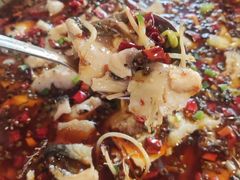 -爱妻鱼•老体北重庆水煮鱼•川菜(白云路店)