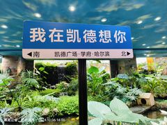 -凯德广场(学府店)