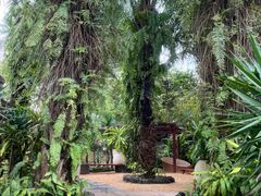 -海口观澜湖火山温泉谷