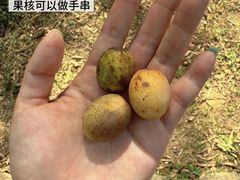 -黄公望隐居地