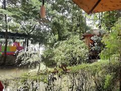 -二荆条·蜀鲜汇城市森林火锅