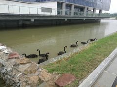 -南京医科大学(江宁校区)