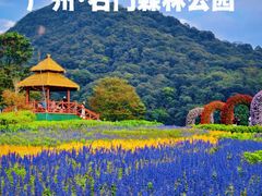 -广州市石门国家森林公园