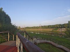 -洨河生态公园