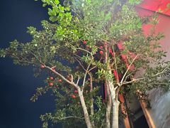 -花好悦园酒家(大石店)