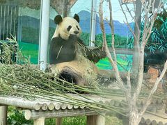-苏州太湖国家湿地公园