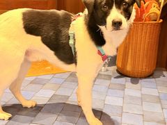 -EAU CAFE(永康路店)