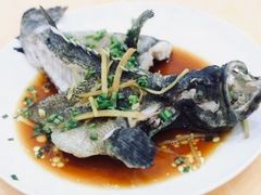 石斑鱼清蒸-四川小胡子海鲜(丁村万人海鲜广场店)