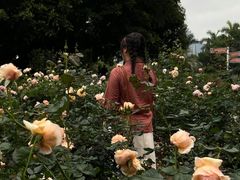 -人民公园(罗湖区)