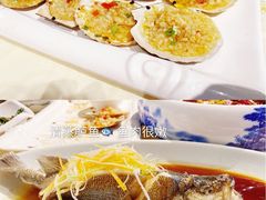 -虾恋蛤蟆功