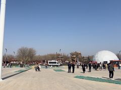 -大槐树寻根祭祖园