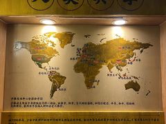 -少林功夫文化中心·独门独院