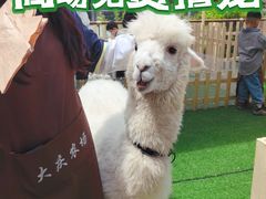 -瑞虹新天地月亮湾