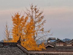 -黄龙溪古镇