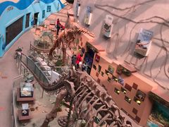 -陕西自然博物馆