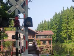 -黄海国家森林公园