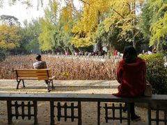 -四川大学(华西校区)