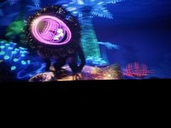 -天幕新彩云国际影城(激光巨幕店)