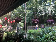 -国生茶庄·地道农家菜团建活动