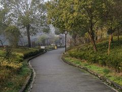-山湖温泉