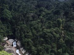 -海南热带雨林国家公园吊罗山景区