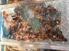 -启东小海鲜(庄先湾路1号店)